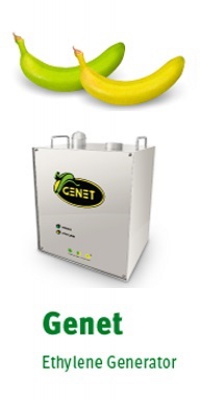 Ethylene Generator for Ripening Fruits
